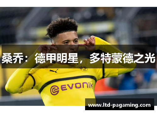 桑乔：德甲明星，多特蒙德之光