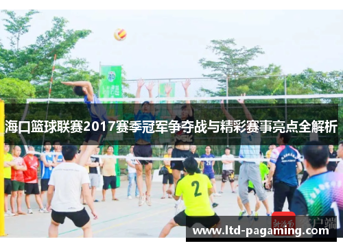 海口篮球联赛2017赛季冠军争夺战与精彩赛事亮点全解析