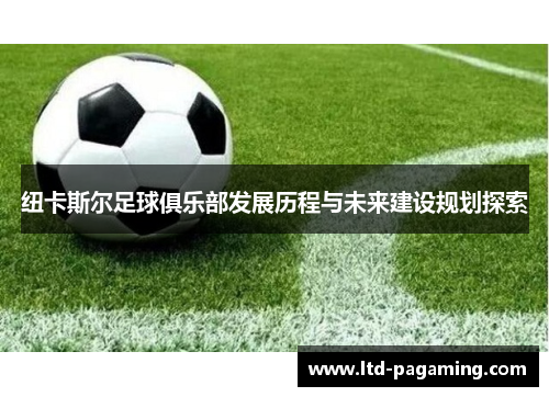 纽卡斯尔足球俱乐部发展历程与未来建设规划探索